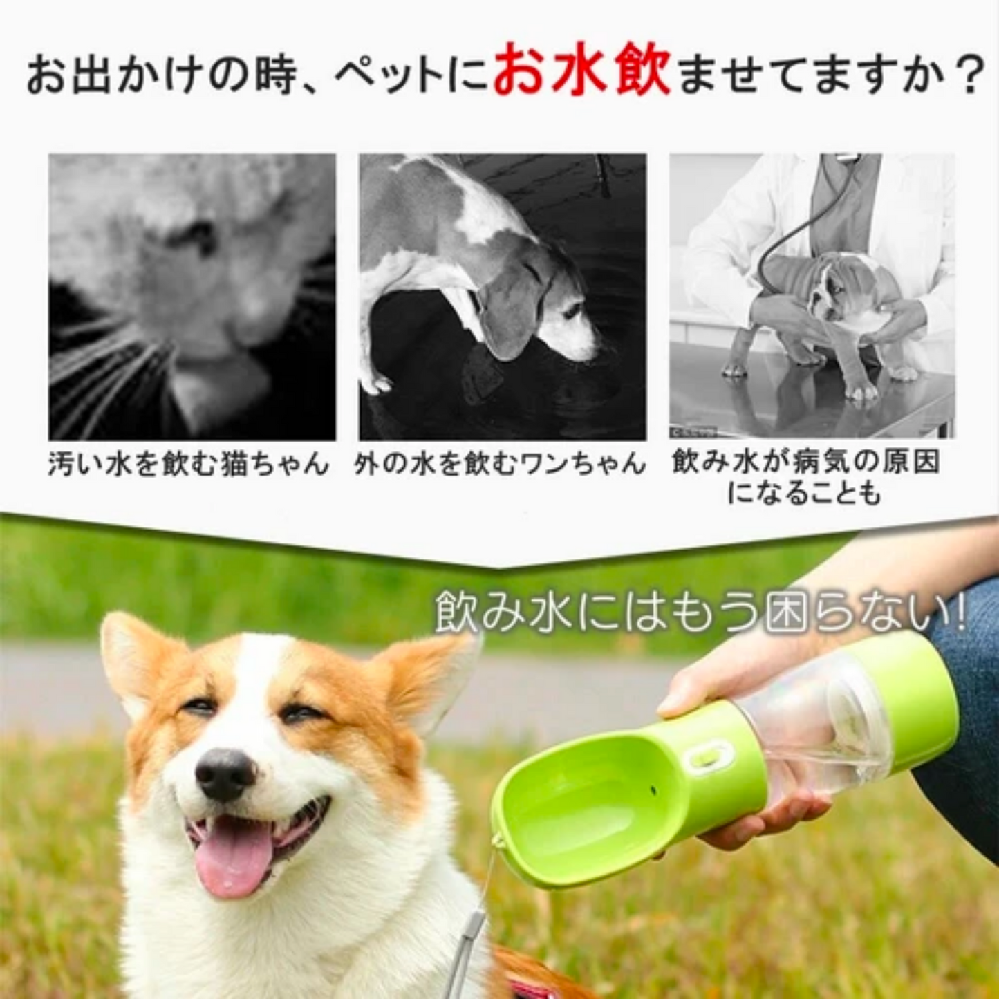 水筒 ウォータボトルペット用